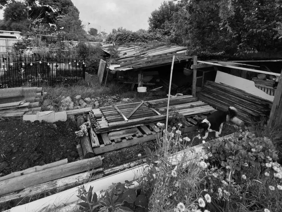 Backyard before work started, bare ground and no usable space
