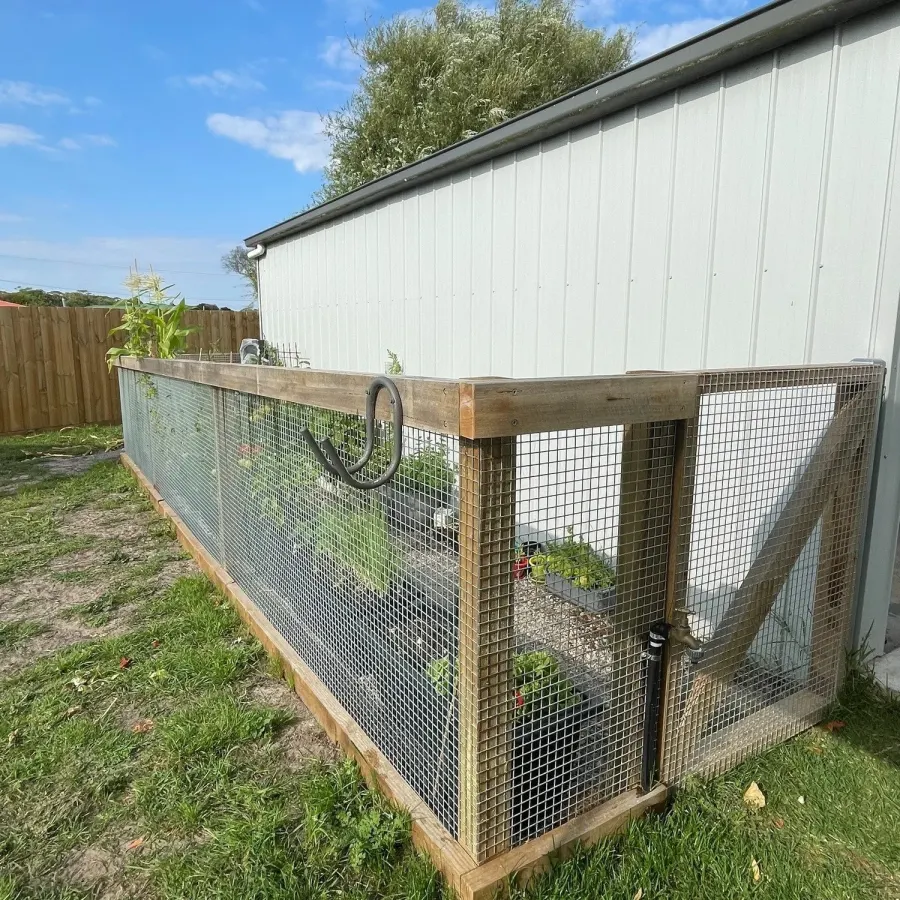 Raised vegetable garden beds